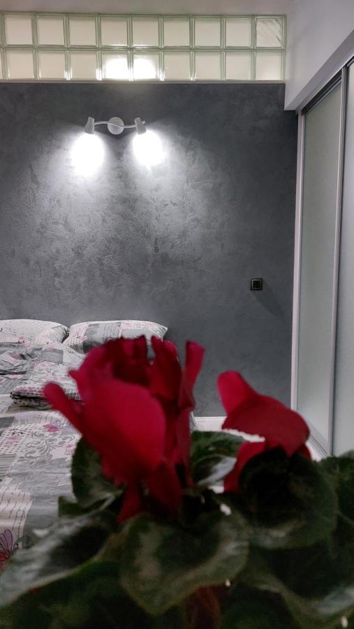Apartman 23 Belgrad Exterior foto