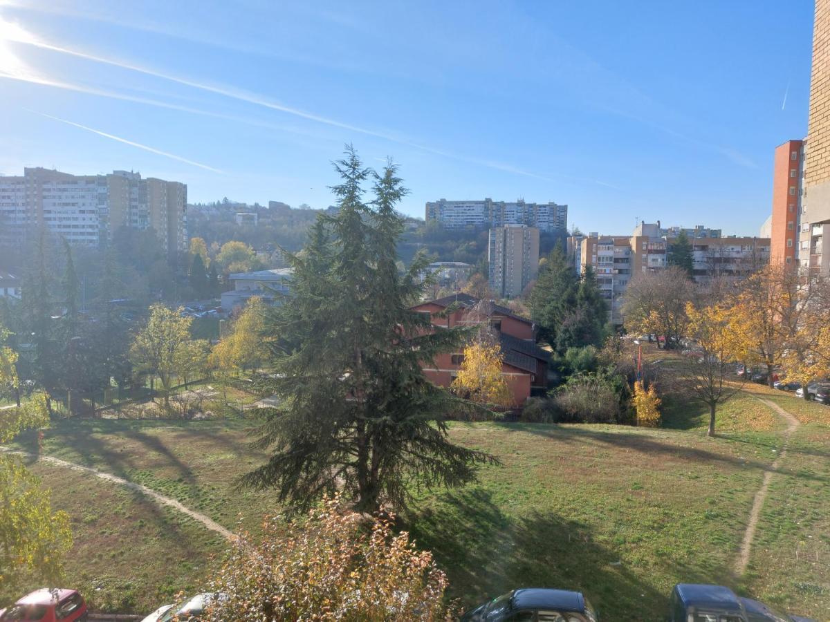 Apartman 23 Belgrad Exterior foto